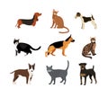 Cats and dogs vector illustration Royalty Free Stock Photo