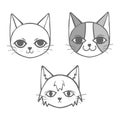 3 cats doodle set