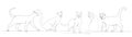 cats drawing by one continuous line Royalty Free Stock Photo