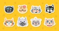 Cats Face and Avatars as Funny Kitten Muzzle Stickers Vector Set