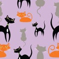 Cats Feline seamless Pattern on repeat purple background