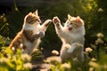 Cats fighting each other, paws jumping, outdoor environment by Generative AI Royalty Free Stock Photo