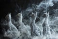 Cats figures swirling mis, unique whimsical artwork with white smoke