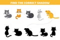 Cats. Find the correct shadow. Shadow matching game. Cartoon, vector Royalty Free Stock Photo