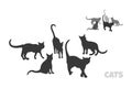 Cats group silhouette. Isolated animals crowd. Black drawing of wild kitties. Kitten template for print