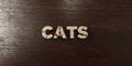 Cats - grungy wooden headline on Maple - 3D rendered royalty free stock image