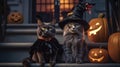 cats in Halloween costumes on the stairs, Halloween, trick or treats, Jack-o\'-lantern, glowing pumpkins