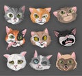 Cats heads faces emoticons vector illustration set