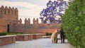 Cats kissing in Castle Alcazaba