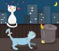 Cats in love Royalty Free Stock Photo