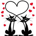 Cats in love Royalty Free Stock Photo