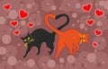 Cats in love cuddled tails heart shape on a festive background.