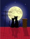 Cats in love Royalty Free Stock Photo