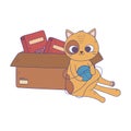 Cats make me happy, cat playing ball of wool and box with food