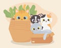 Cats make me happy, cats in cardboard box and kitten in basket cartoon Royalty Free Stock Photo