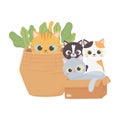 Cats make me happy, cats in cardboard box and kitten in basket cartoon Royalty Free Stock Photo