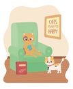 Cats make me happy, cute cat playing ball of wool in sofa