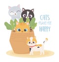 Cats make me happy, pets cats in wicker basket plants cartoon