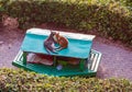 Cats of Malta - two stray cats lying on the roof of their house in Sliema Independence Garden Royalty Free Stock Photo