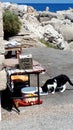 Cats on Mandraki Harbour on the Greek island of Rhodes. Royalty Free Stock Photo