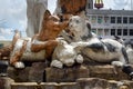 Cats monument at center of Kuching