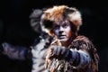 CATS Musical Royalty Free Stock Photo