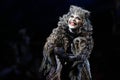 CATS Musical Royalty Free Stock Photo