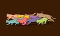 Cats nine lives graphic