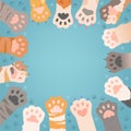 Cats paw background. Funny domestic kitten pets or wild animals different paws with claws vector illustrations