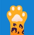 Cats paw concept