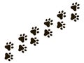 Cats paw trail. Footprints wolf cat dog, puppy trails nature print vector pattern Royalty Free Stock Photo