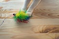 Cats paws catching feathery toy