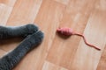 Cats paws and a toy mouse on the floor.