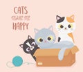 Cats pet make me happy kitties with cardboard box and wool ball cartoon