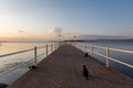 Cats on a pier on a lake with warm sunset colors