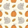 Cats, pumpkins and autumn oak leaves. Seamless pattern