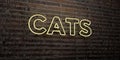CATS -Realistic Neon Sign on Brick Wall background - 3D rendered royalty free stock image