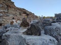 Cats resting in ruins of Ephesus Royalty Free Stock Photo