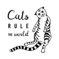 Cats rule the world Meow power. Domestic kitty. lettering quote or phrase. Hand drawn engraved sketch for banner or t