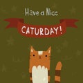 Cats Saturday Postcard.