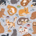 Cats seamless pattern. Cute cat sleeping, playing with toys, sitting. Cartoon pet animal background with funny kittens Royalty Free Stock Photo