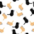 Cats seamless pattern Royalty Free Stock Photo