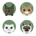 Cats set face icon vector illustration design isolated