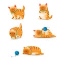 Cats Set