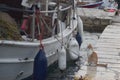 cats on the shore near a fishing boat waiting for fresh fish for breakfast, Greece