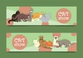 Cats show banner grooming or veterinary feline flyer vector illustration. Cute kitten pet poster. Funny animal studio