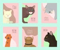 Cats show cards grooming or veterinary feline flyer vector illustration. Cute kitten pet poster. Funny animal studio