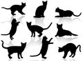 Cats silhouette
