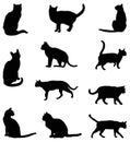 Cats silhouette