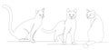 cats sitting one continuous line drawing, sketch Royalty Free Stock Photo